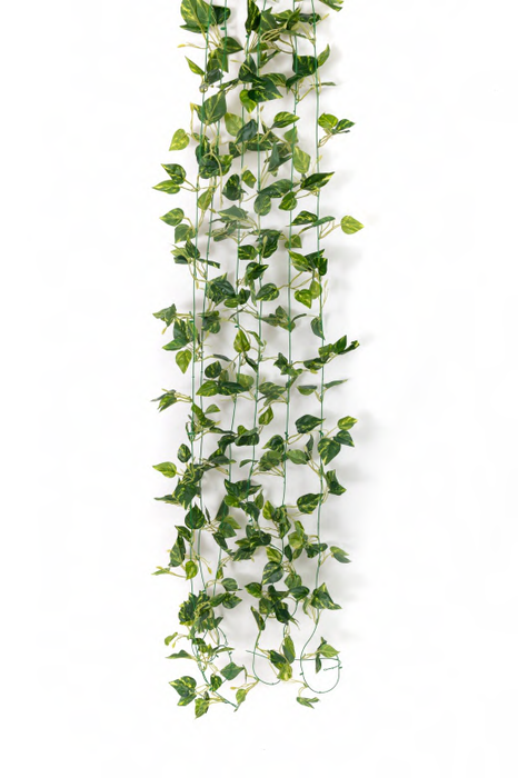 Artificial 3653 GG Real Touch Mini Money Plant Leaves Garland 6.5 ft-P —  ChhajedGarden.com