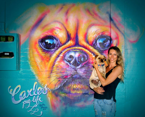 Erika Pearce street art mural Pug Life, Escape Coffee, Taranaki, NZ