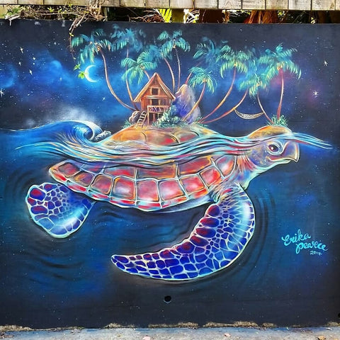 Erika Pearce street art mural Turtle, Devonport, Auckland, NZ