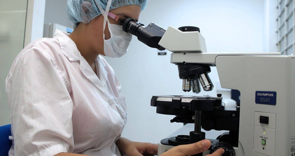 Análisis de orina de gato en un veterinario.