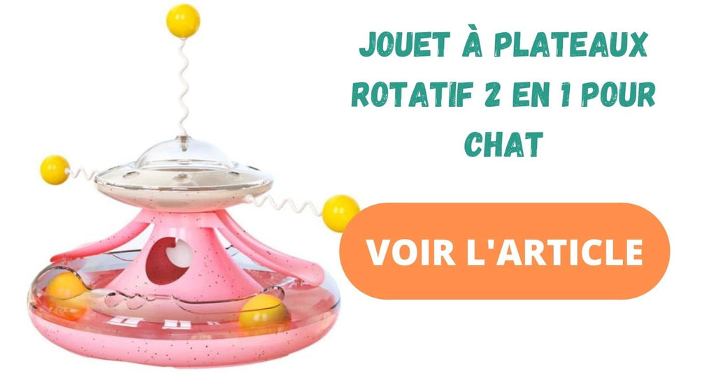 Jouet à plateau rotatif interactif pour chat