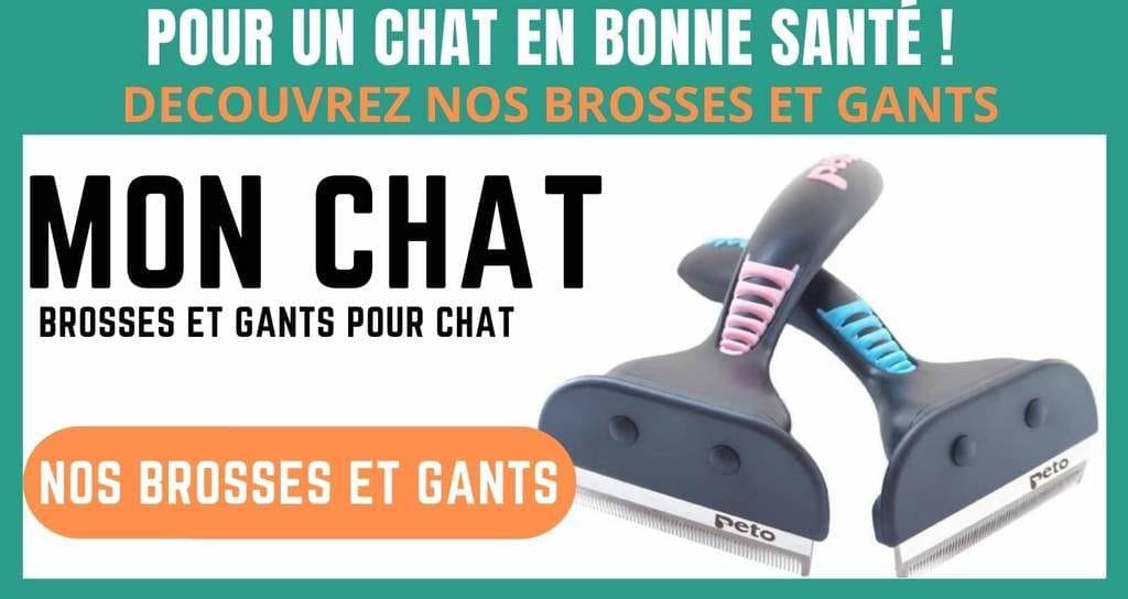 Brosses et gants chat