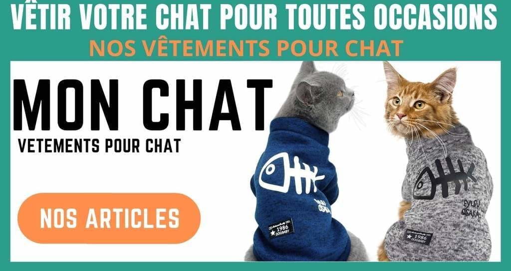 vêtements pour chat