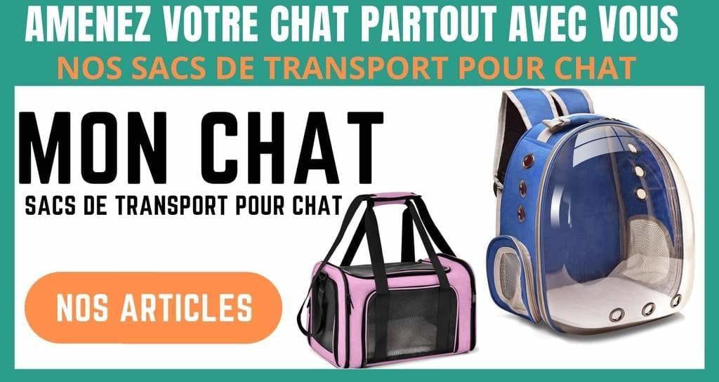 Partir en voyage avec votre chat, conseils pratiques