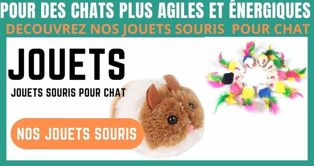 Jouet souris pour chat