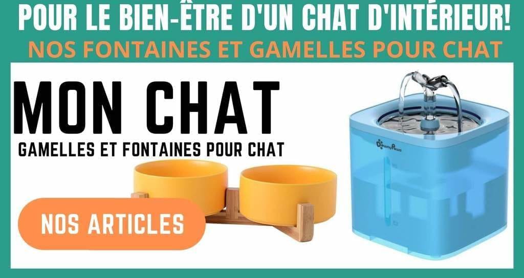 fontaines et gamelles pour chat