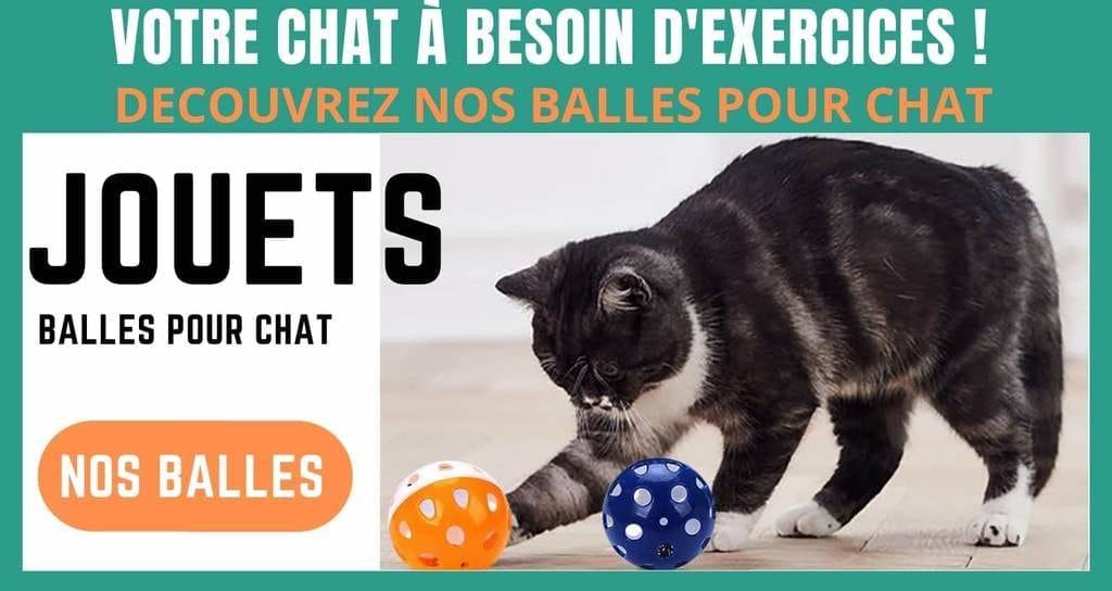 juguetes de pelota para gatos