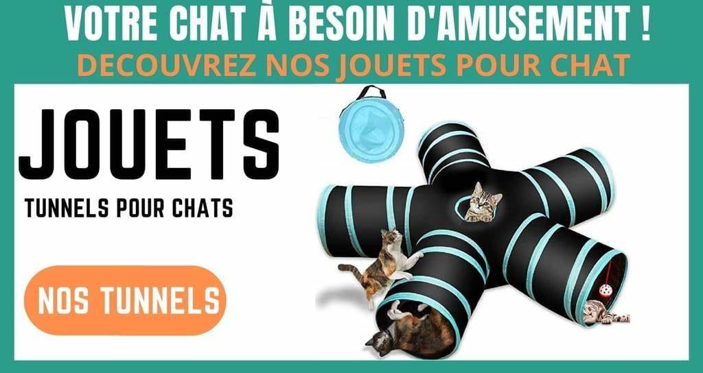 jouets tunnels pour chat