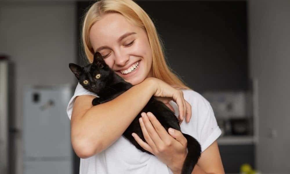 Taking care of your cat's well-being