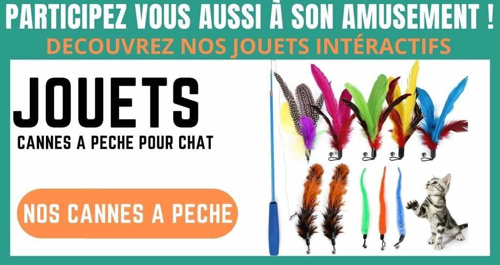 jouets cannes à peche pour chat