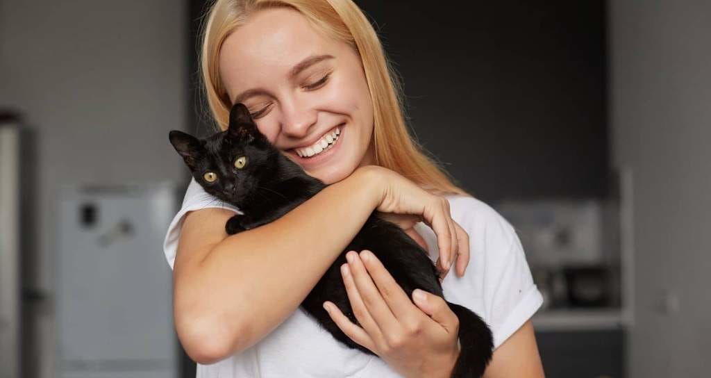 Le pouvoir apaisant du chat