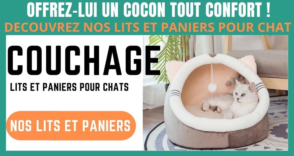 couchages lit et paniers chat