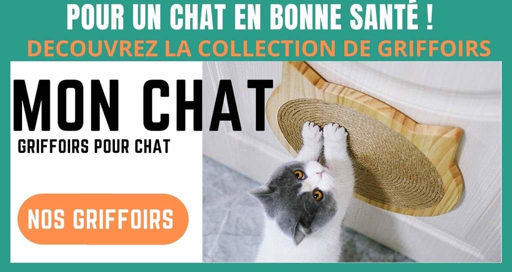 Griffoirs pour chat