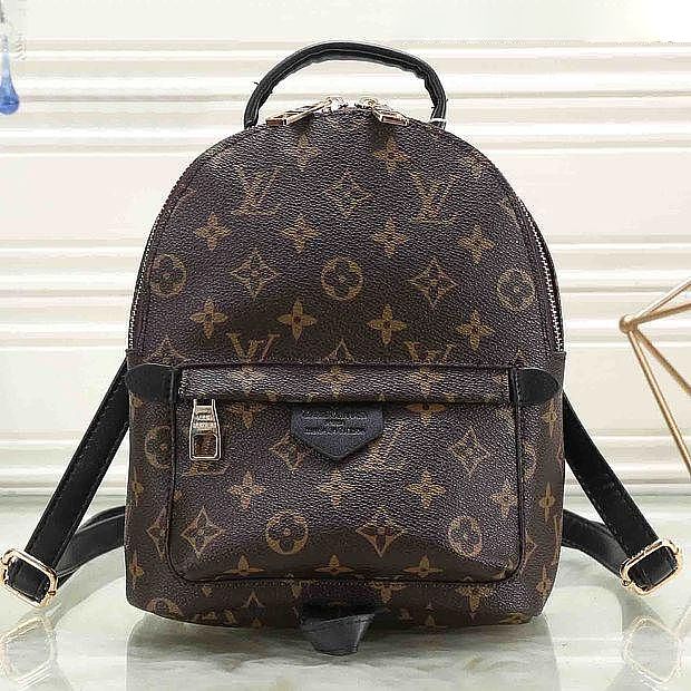 DhGate LV Mini Palm Springs Backpack 