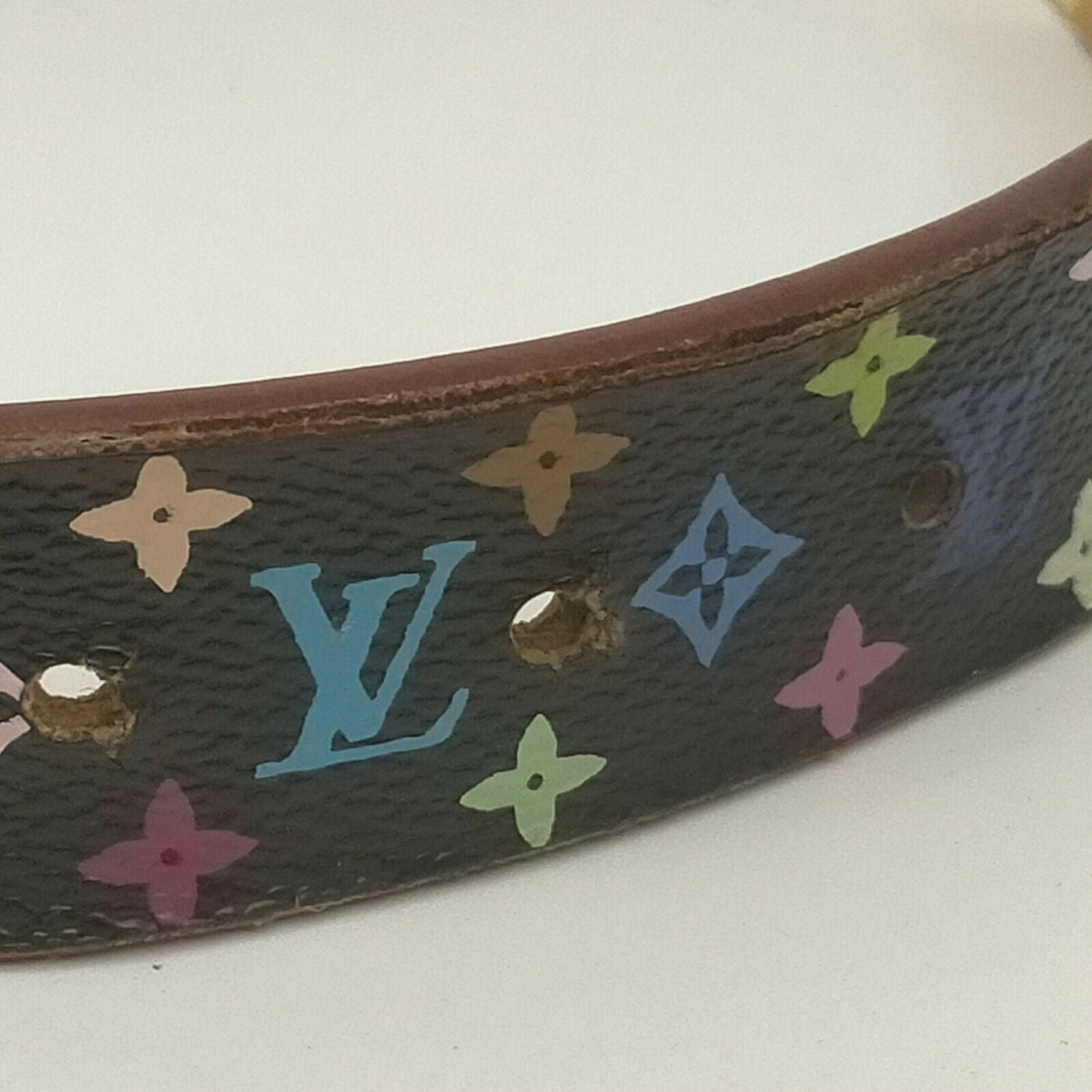 Louis Vuitton MultiColor Leather Belt - Luxury Cheaper