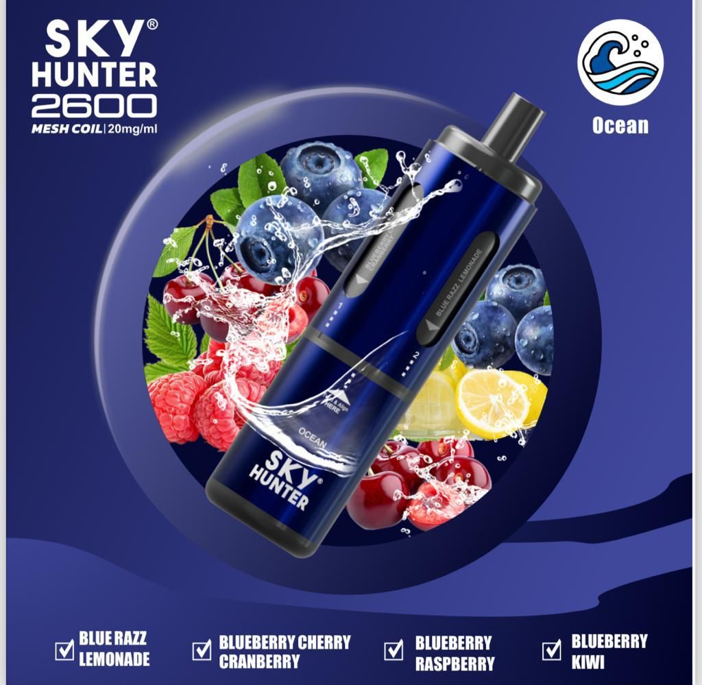 4 in 1 Sky Hunter 2600 Puffs Disposable Vape Box of 5 - Mcr Vape Distro