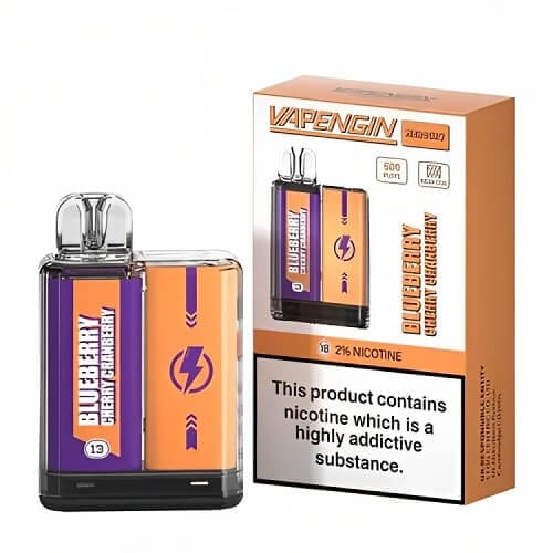 Vapengin Mercury 600 Disposable Vape Device (Box of 10) - Mcr Vape Distro