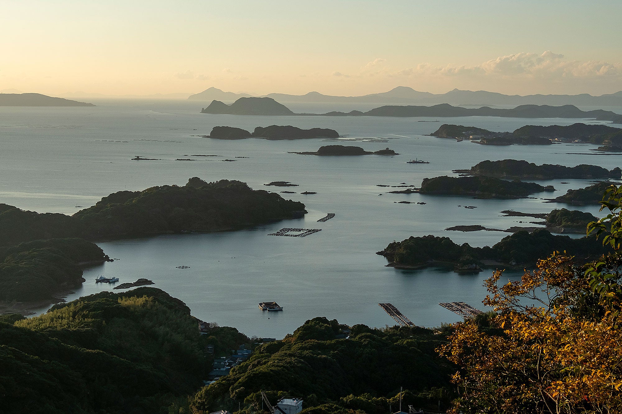 天然寒ブリ 全国の料理人も注目する対馬高浜の一本釣り寒ブリ Kuuca