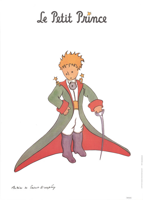The Little Prince by Antoine de Saint-Exupery: 9788854418738 - Union Square  & Co.