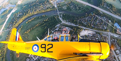 Yellow WWII Harvard aircraft in a steep bank with a green canopy of trees and a city below