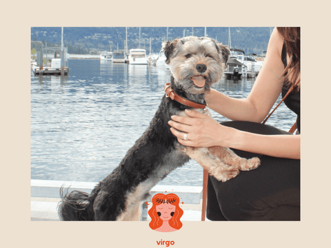 Virgo Best Dog Match | Le Dog Blog