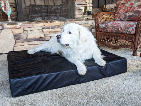 The Best Dog Bed for Giant Breeds | Le Dog Company