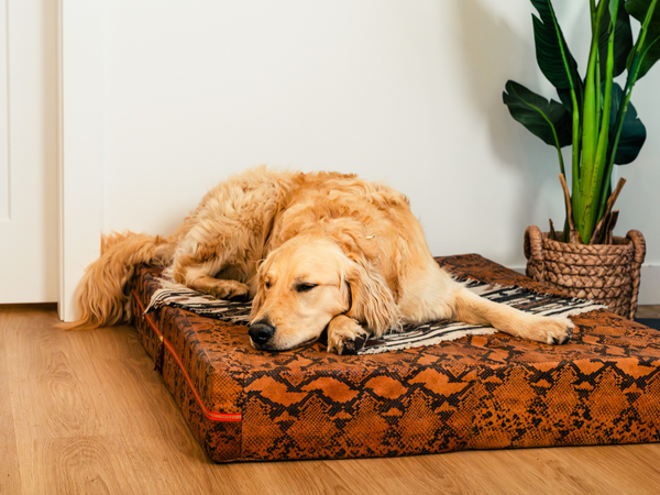 Le Dog Company | Leather dog bed