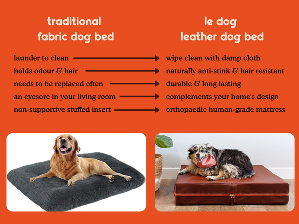 fabric vs. leather dog beds