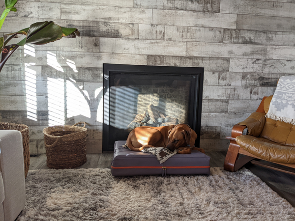 Le Dog Company | The Most Stylish Dog Bed Ever Made