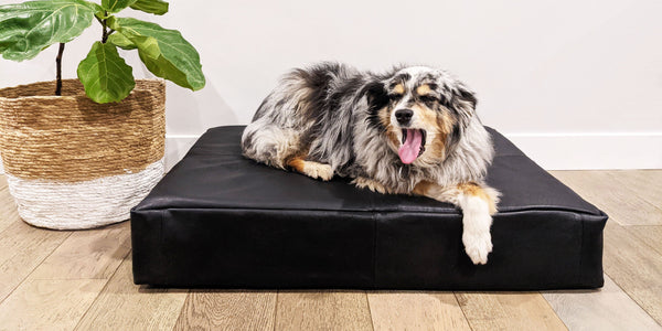 leather dog bed