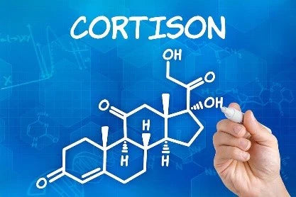 Cortison