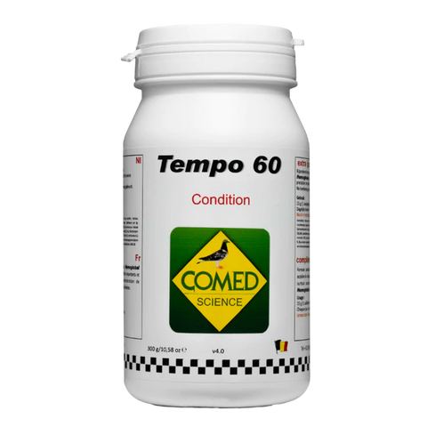 Tempo 60