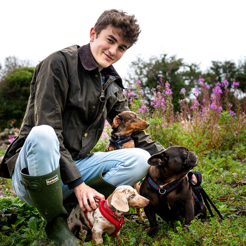 A man is playing with dog on a grass field