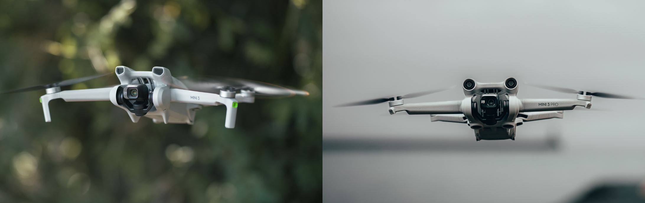 DJI Mini SE vs. DJI Mini 2: Specs compared on DJI's two cheapest