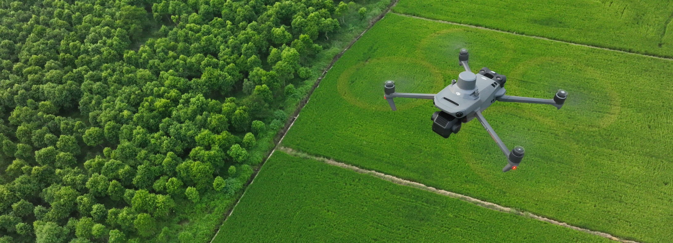 Drones for forestry. DJI Mavic 3 Multispectral.