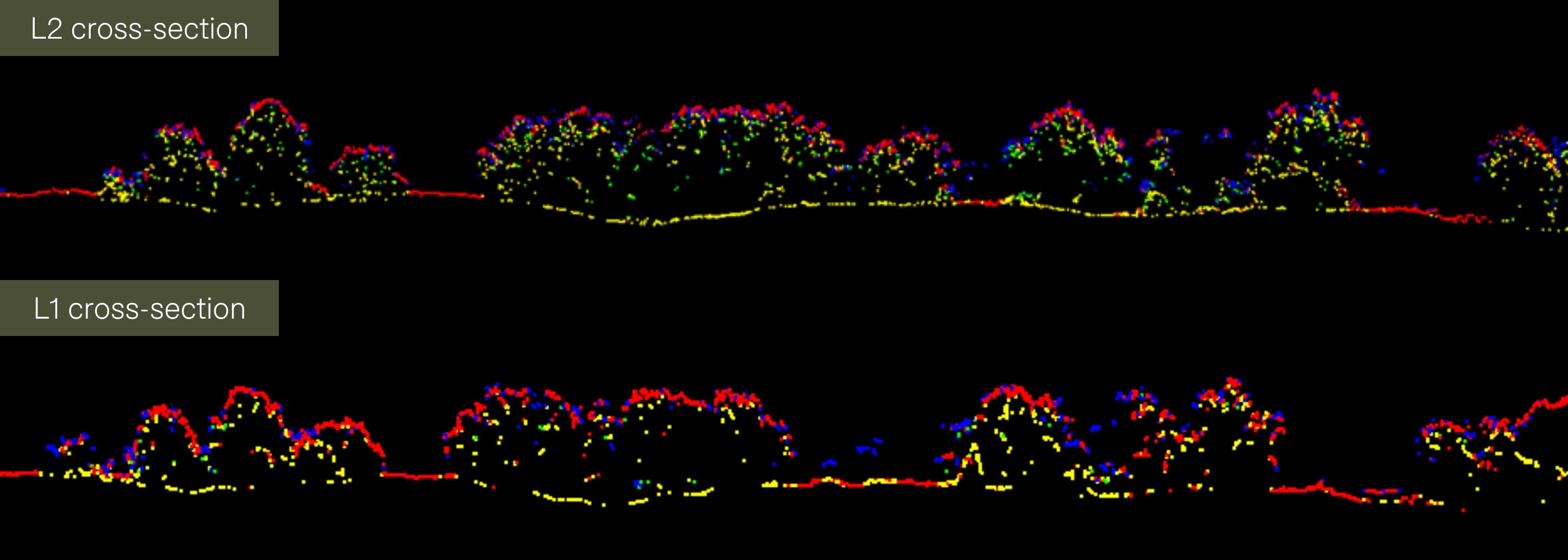 Graphic showing DTM cross-section comparing L2 and L1 data.