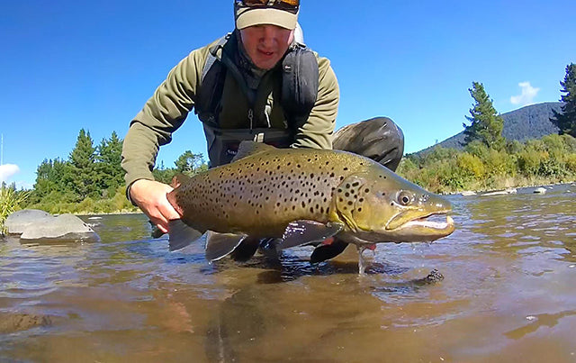 Targeting the Big Summer Browns of the Tongariro – Manic Tackle Project