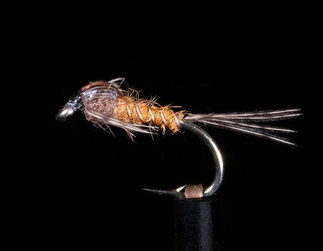 Brown Assassin Manic Fly Collection