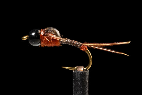 BTB Micro May from the Manic Fly Collection