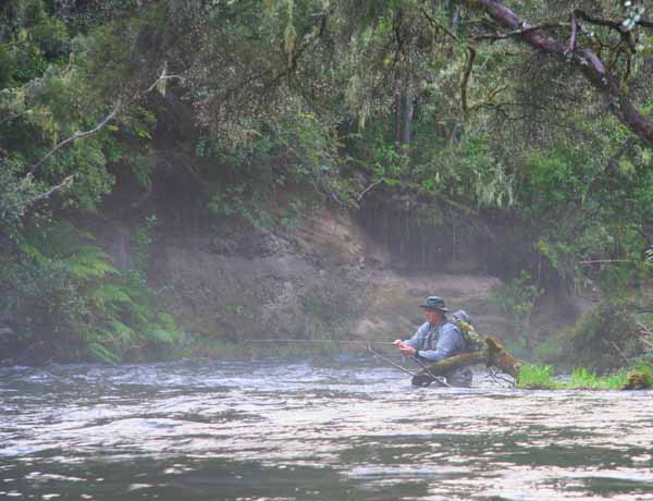 DROP SHOT NYMPHING HINEMAIAIA, TROPHY RAINBOW TROUT FISHING GUIDES TAUPO