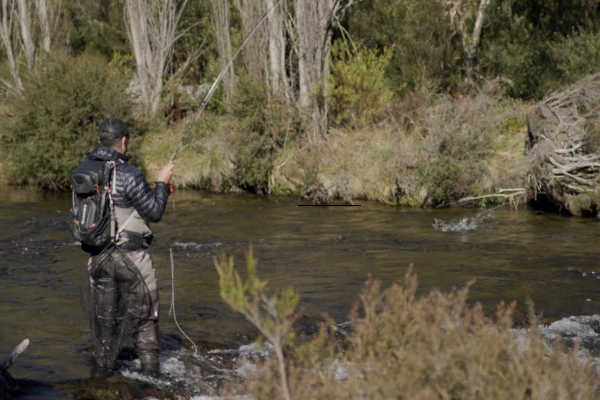 NSW Winter Fly Fishing