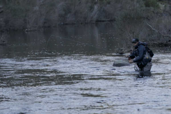 NSW Winter Fly Fishing