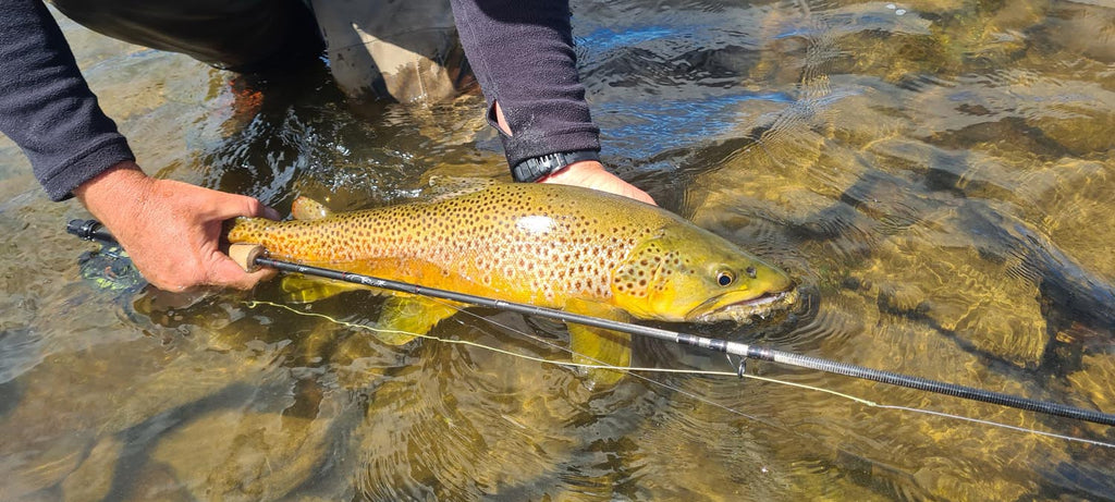 Simon Taylor Fly Fishing In Tasmania