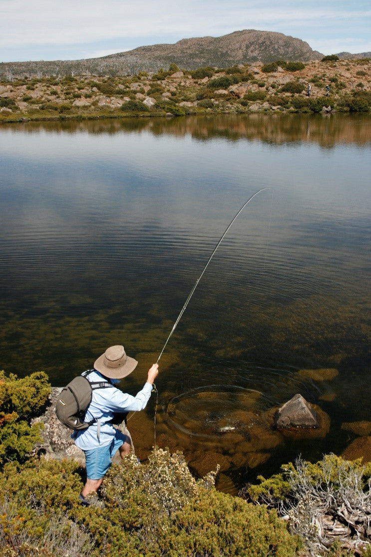Tips On Fly Leaders - More Important Than Your Fly Rod Yet Often Overlooked
