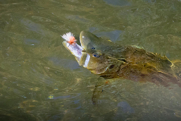 Indicator Dry Flies