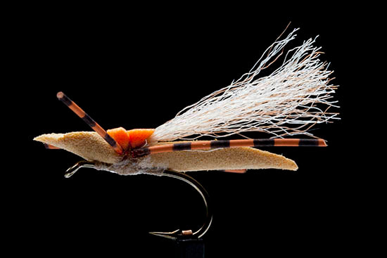 Muz Wilsons wee creek hopper