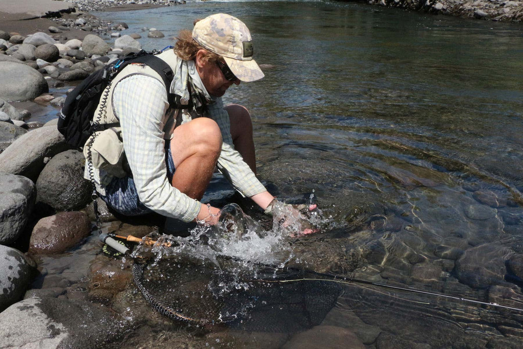 A Trout Is Released To Fight Another Day