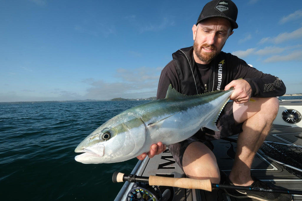 Auckland Harbour Fly Caught Kingfish