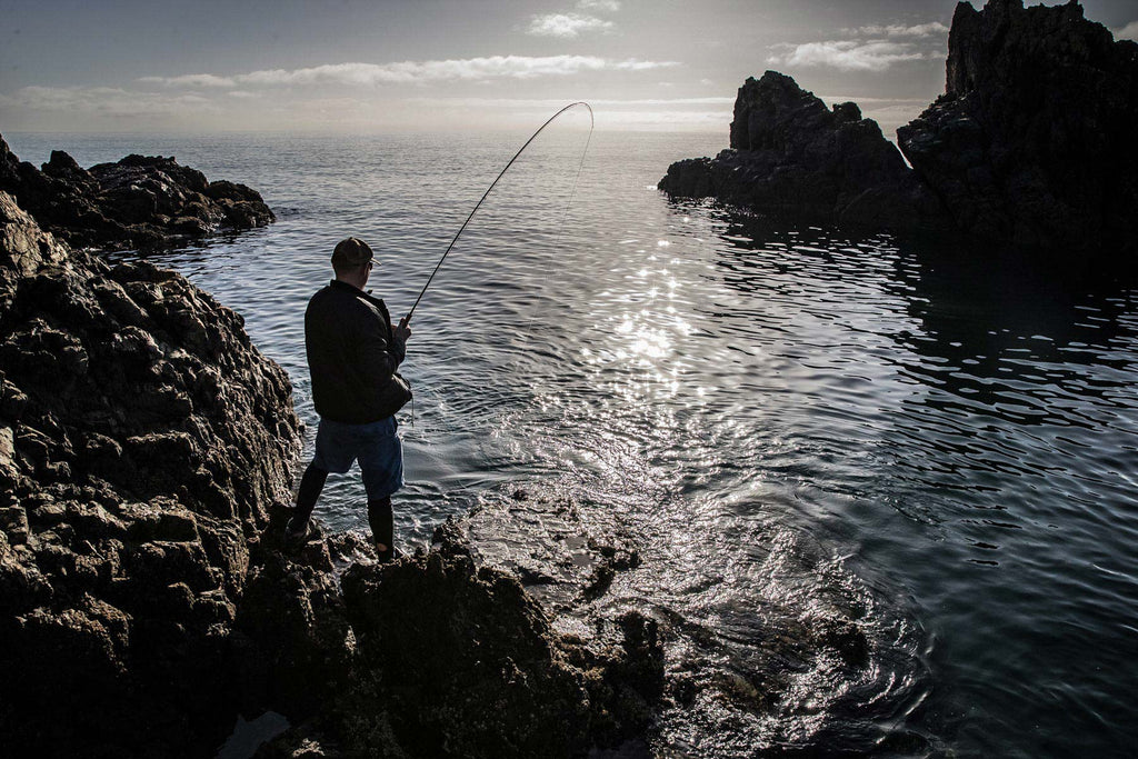 Landbased Fly Fishing In Auckland