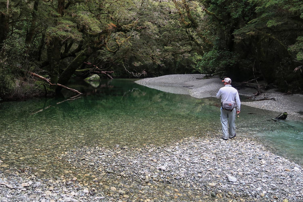 Fly Fishing Crystal Clear NZ Back Country River